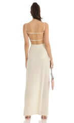 Velvet Maxi Dress in Beige