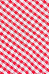 Ruby Poplin Mini Dress