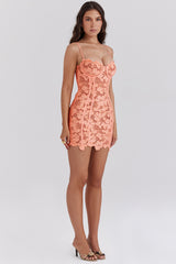 sorbet embroidered floral lace mini dress