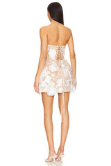 Jasmine Maraya Dress