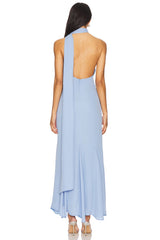 Ari Maxi Dress