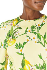 Bracelet Sleeve Sheath Dress