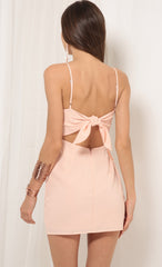 Double Tie Wrap Dress In Blush