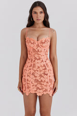sorbet embroidered floral lace mini dress