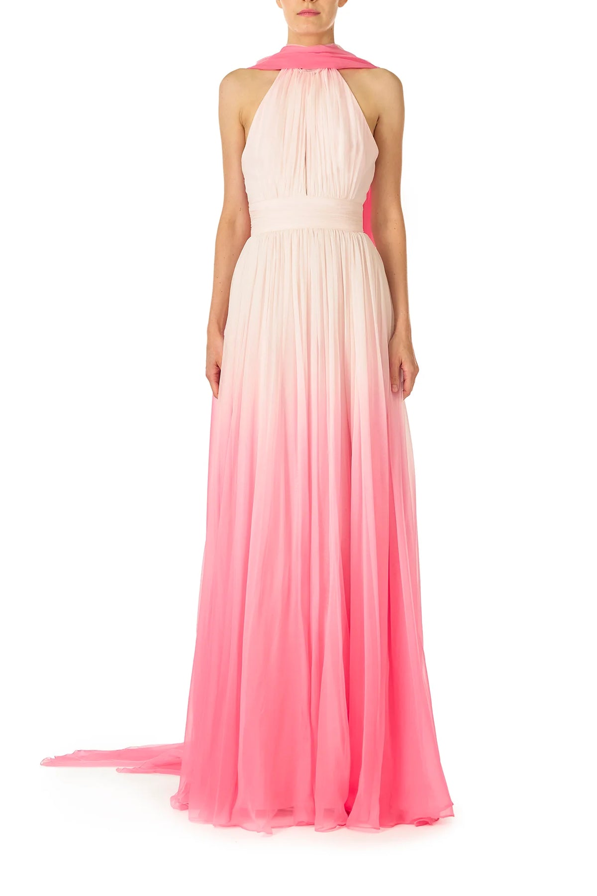 Hibiscus Ombre Chiffon Gown