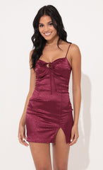 Front Tie Dress in Maroon Leopard