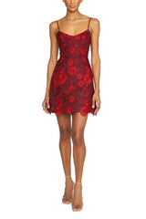 Sleeveless Lace Mini Dress