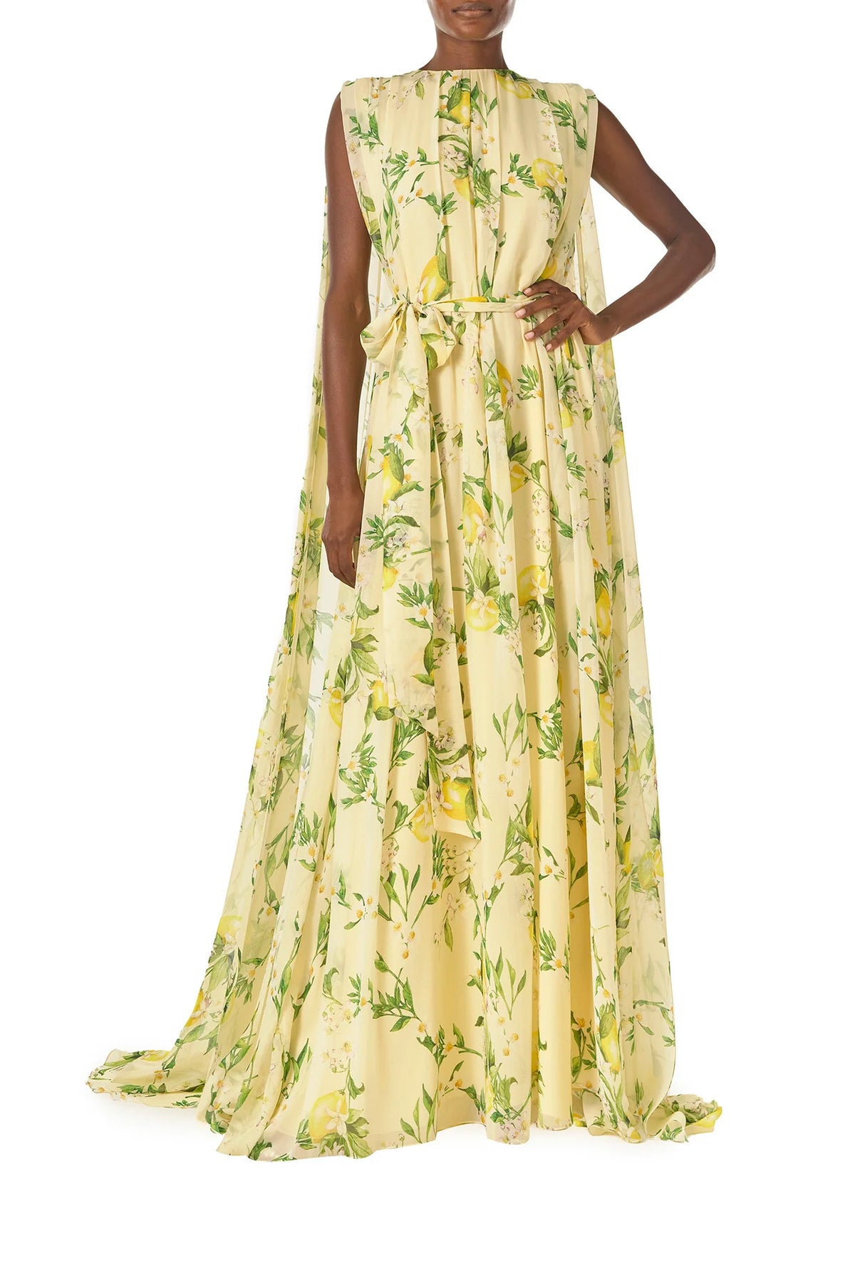 Lemon Print Georgette Gown