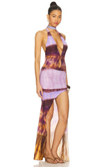 Hazel Printed Mesh Maxi Gown