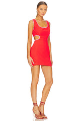 x REVOLVE Beeba Dress